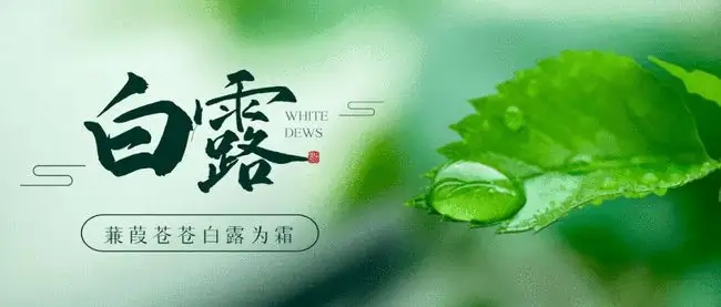 中国二十四节气——白露H5模板分享